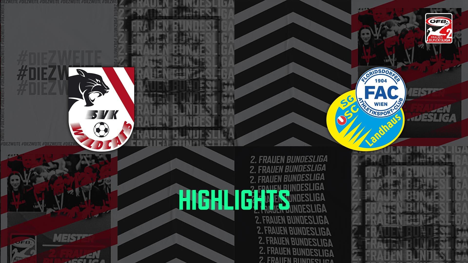 SVK Wildcats Elektro Service Fuchs - USC Landhaus