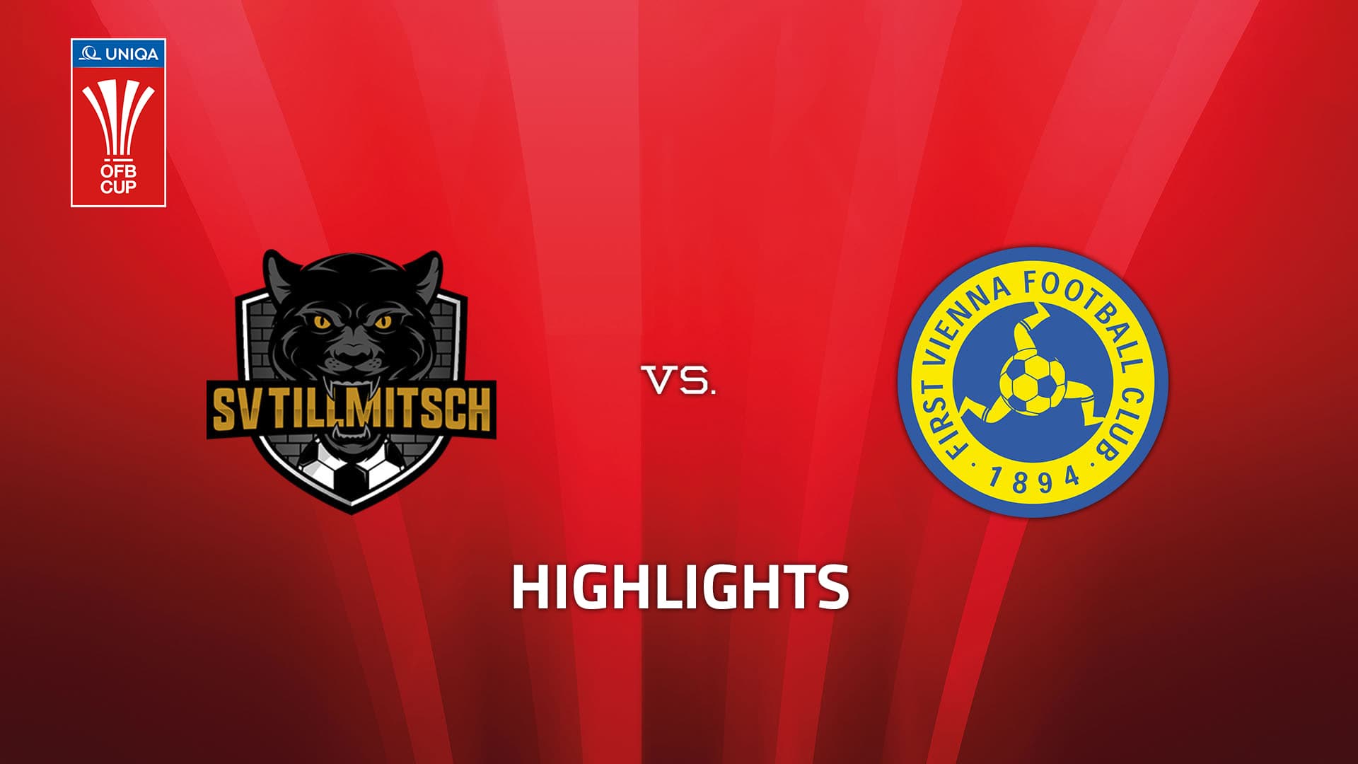 SV Fleischereimaschinen Schenk Tillmitsch - First Vienna FC 1894