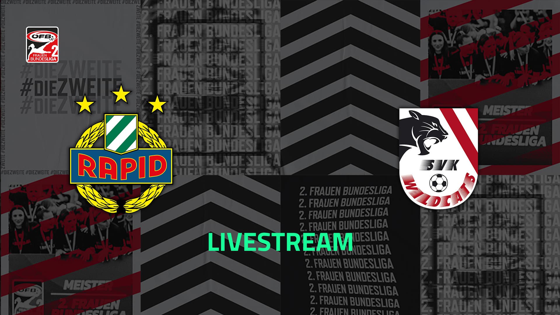 Livestream: SK Rapid - SVK Wildcats Elektro Service Fuchs