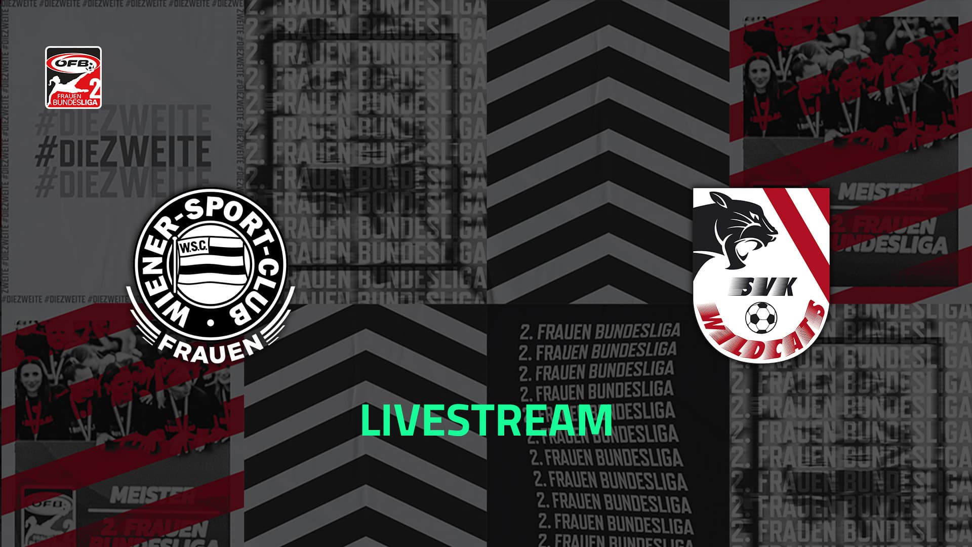 Livestream: Wiener Sport - Club - SVK Wildcats Elektro Service Fuchs