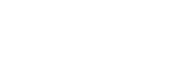 Bundes-Sport GmbH logo