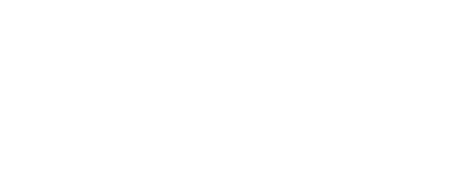 sporteo logo