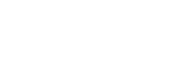 Steinbach logo