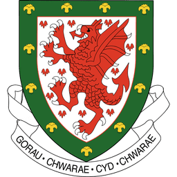 Wales logo