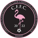 Carinthia Flamengo Futsal Club Logo